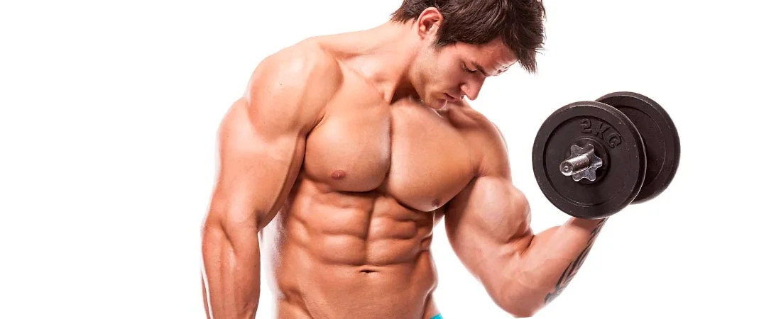 Metabolismo de la fosfocreatina